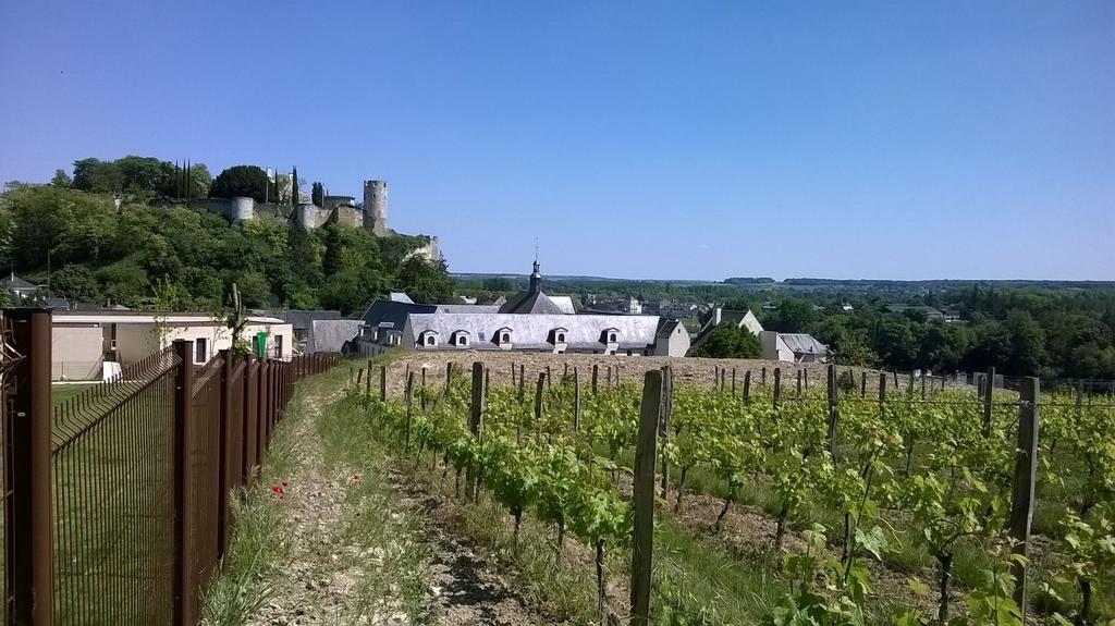 Résidence Prestige Odalys Le Clos Saint Michel Chinon Esterno foto